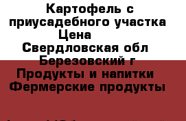 Картофель с приусадебного участка › Цена ­ 25 - Свердловская обл., Березовский г. Продукты и напитки » Фермерские продукты   